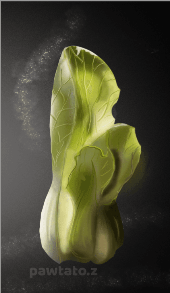 Vegetable - Pak Choi